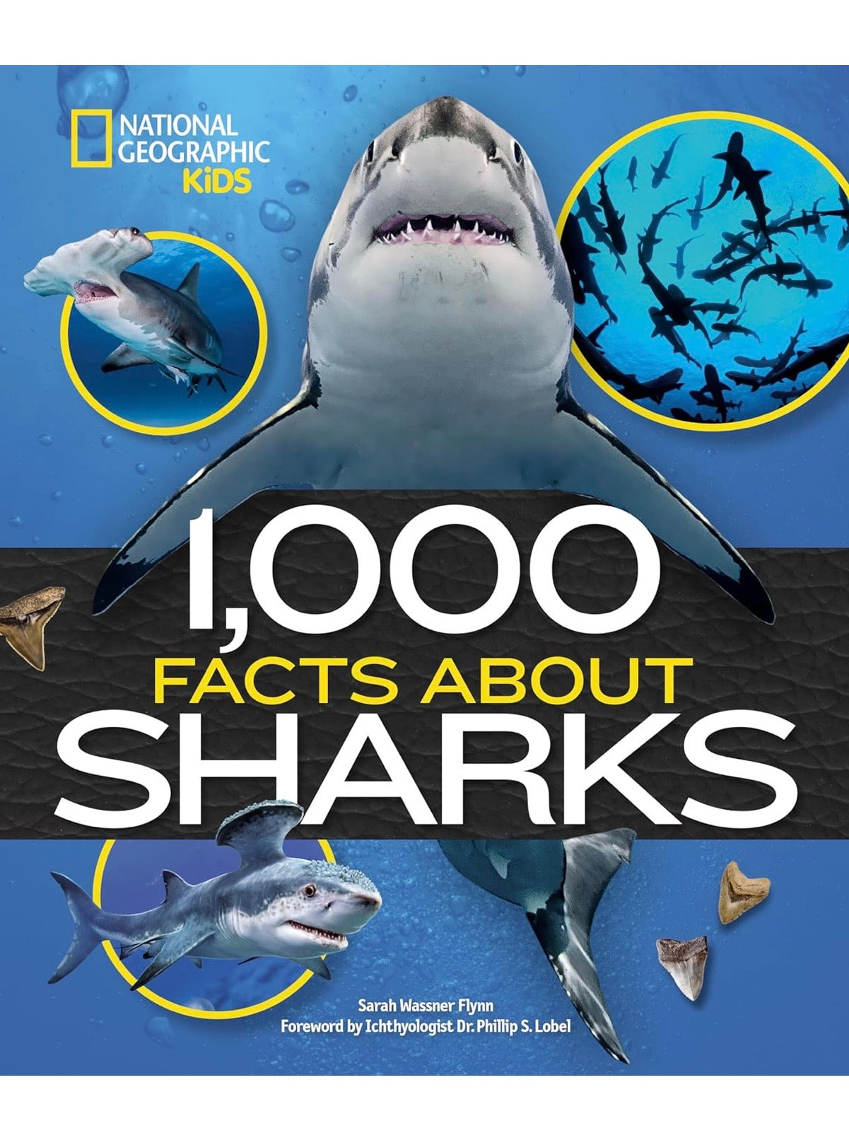 NG| 1,000 Facts About Sharks