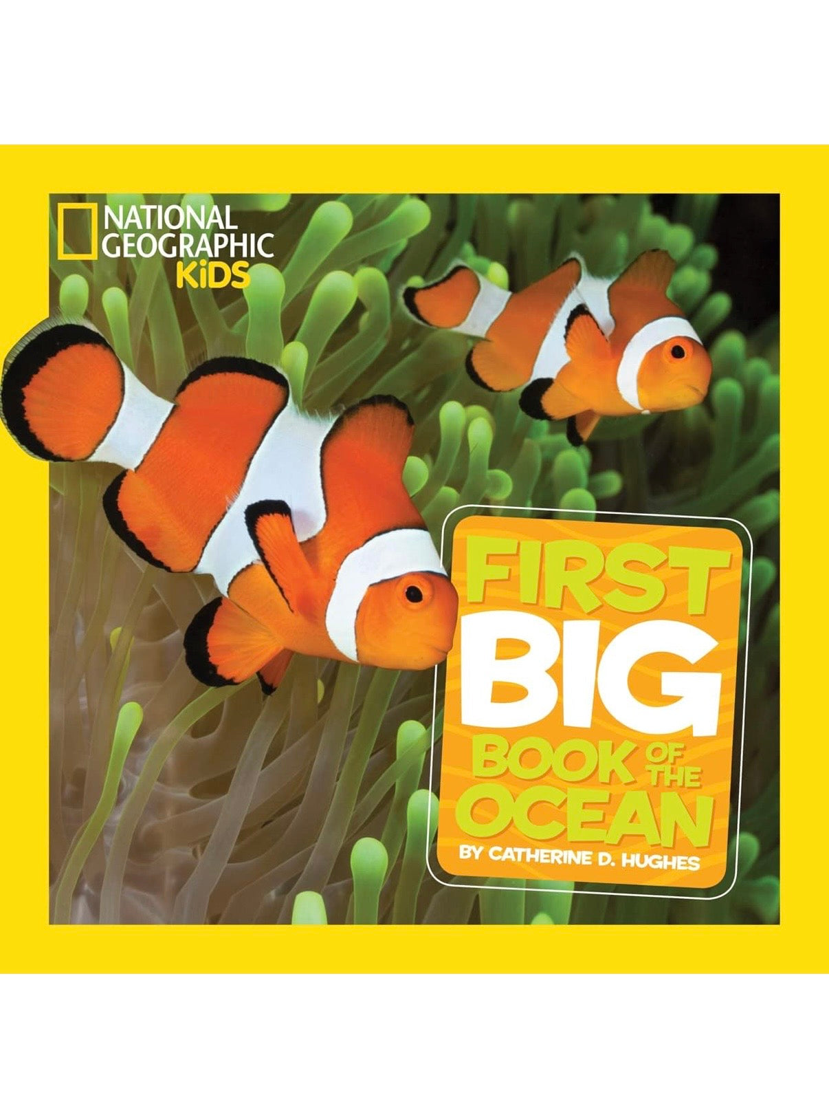 NG| First Kid Book - Ocean