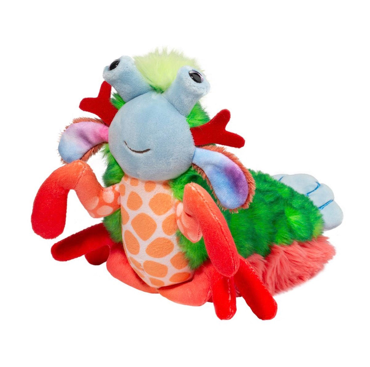 Douglas Mantis Shrimp