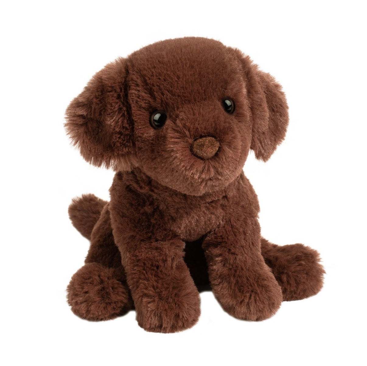 Douglas Chocolate Lab