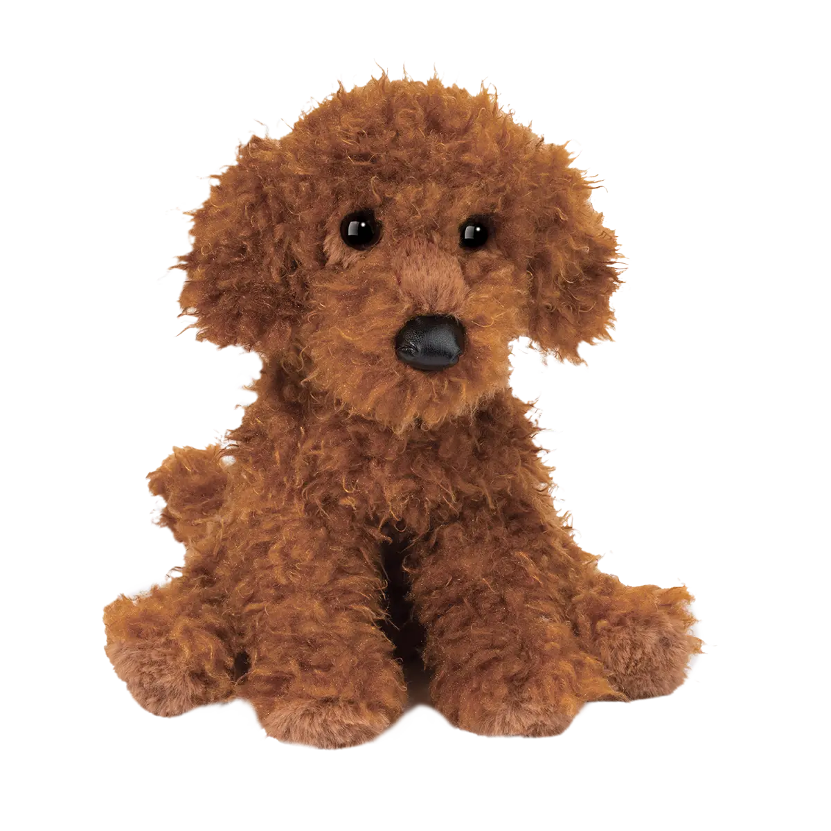 Douglas Ginger Miniature Poodle