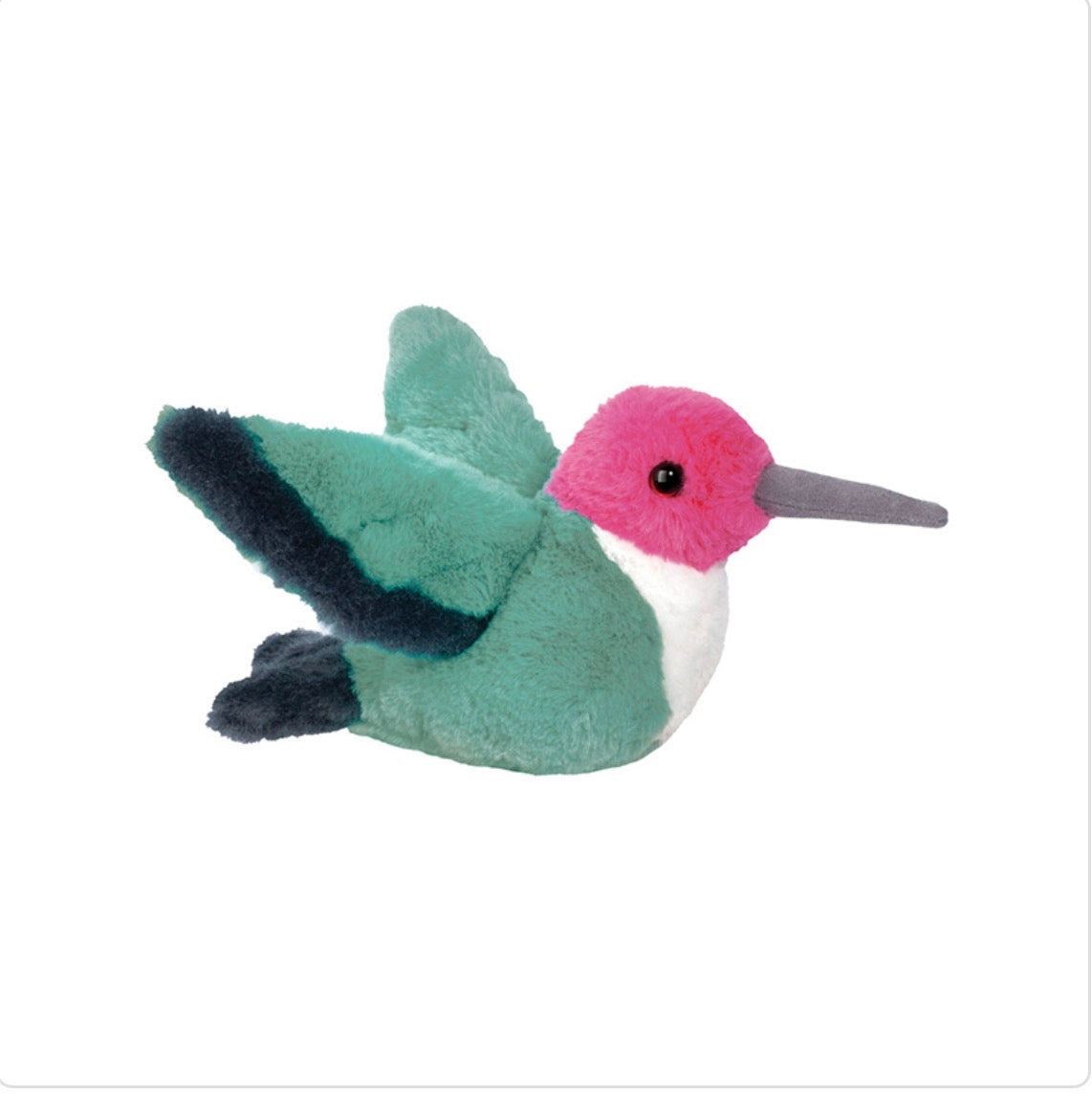 Douglas Twirlie Hummingbird