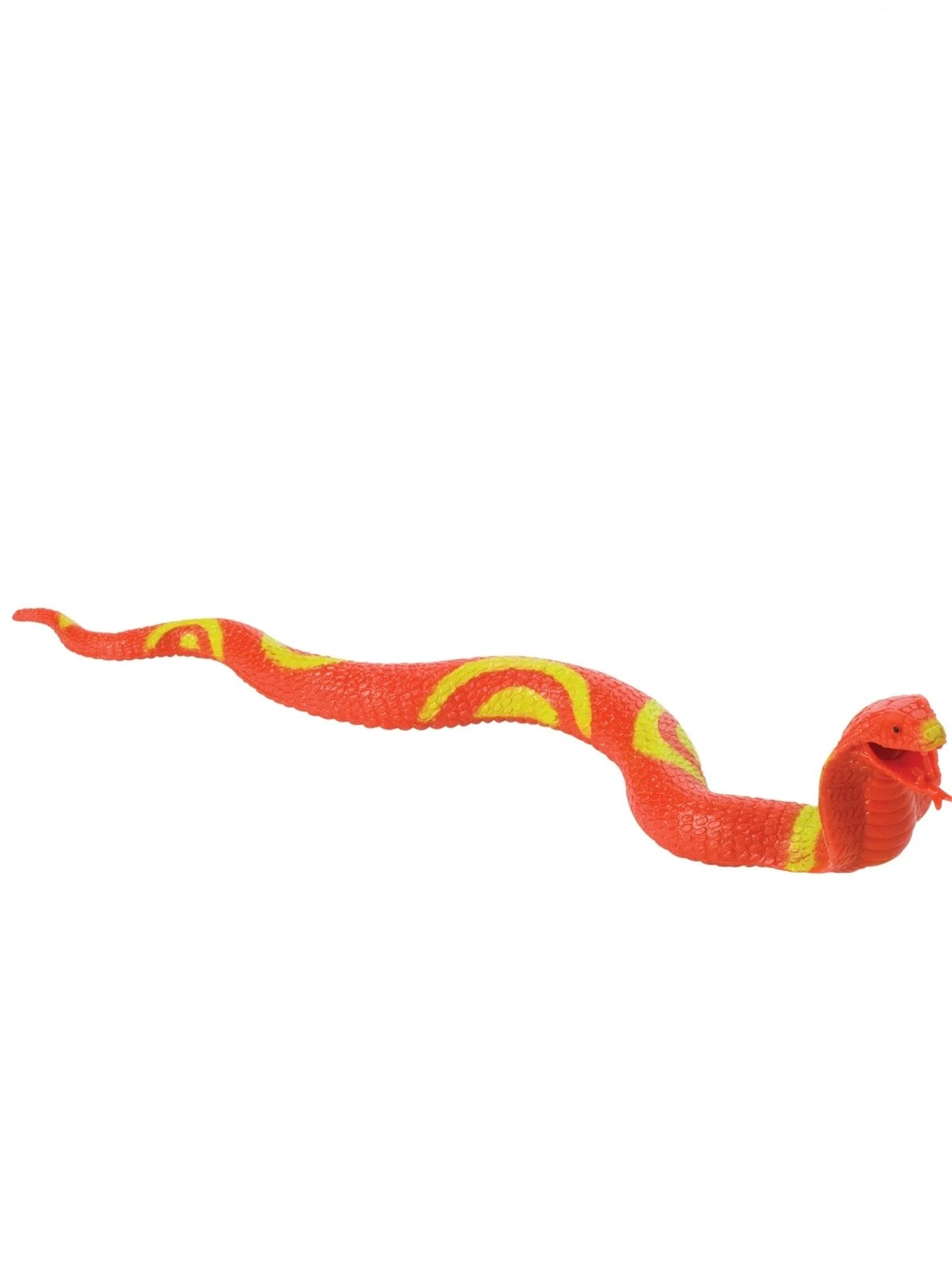 Squishy Snakes