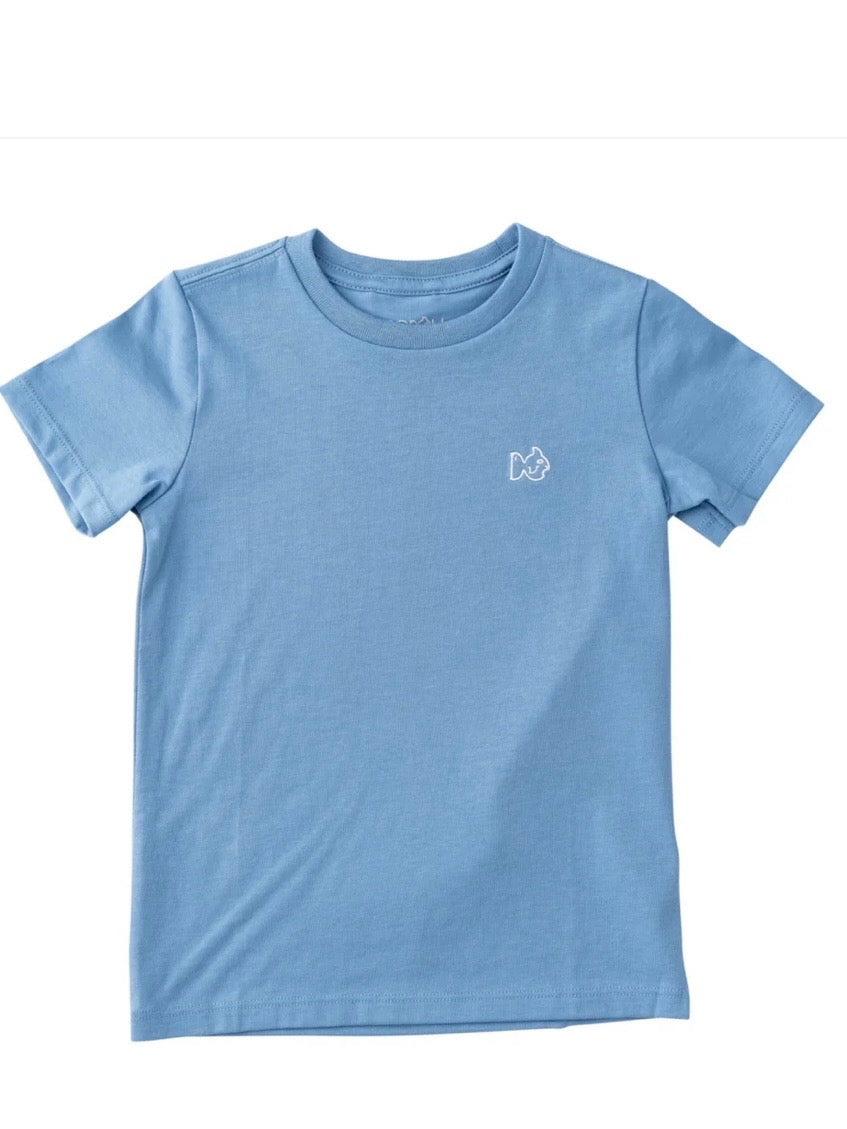 Boys Cotton Short Sleeve T-Shirt – Solid Ashleigh Blue