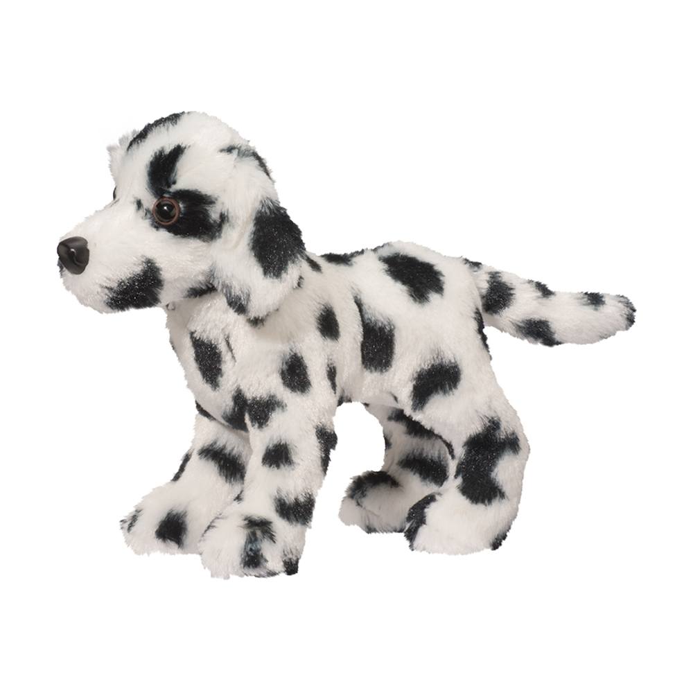 Douglas Dooley Dalmation