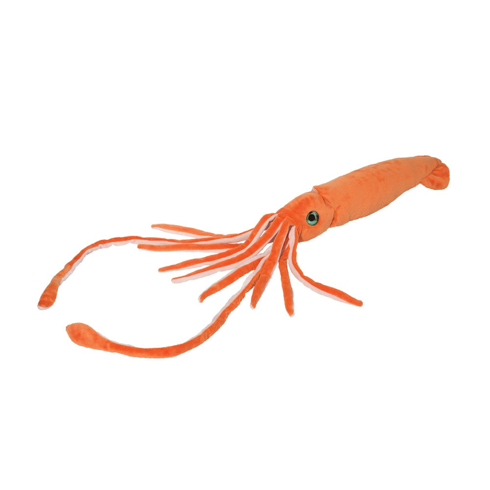 Douglas Stretch Squid